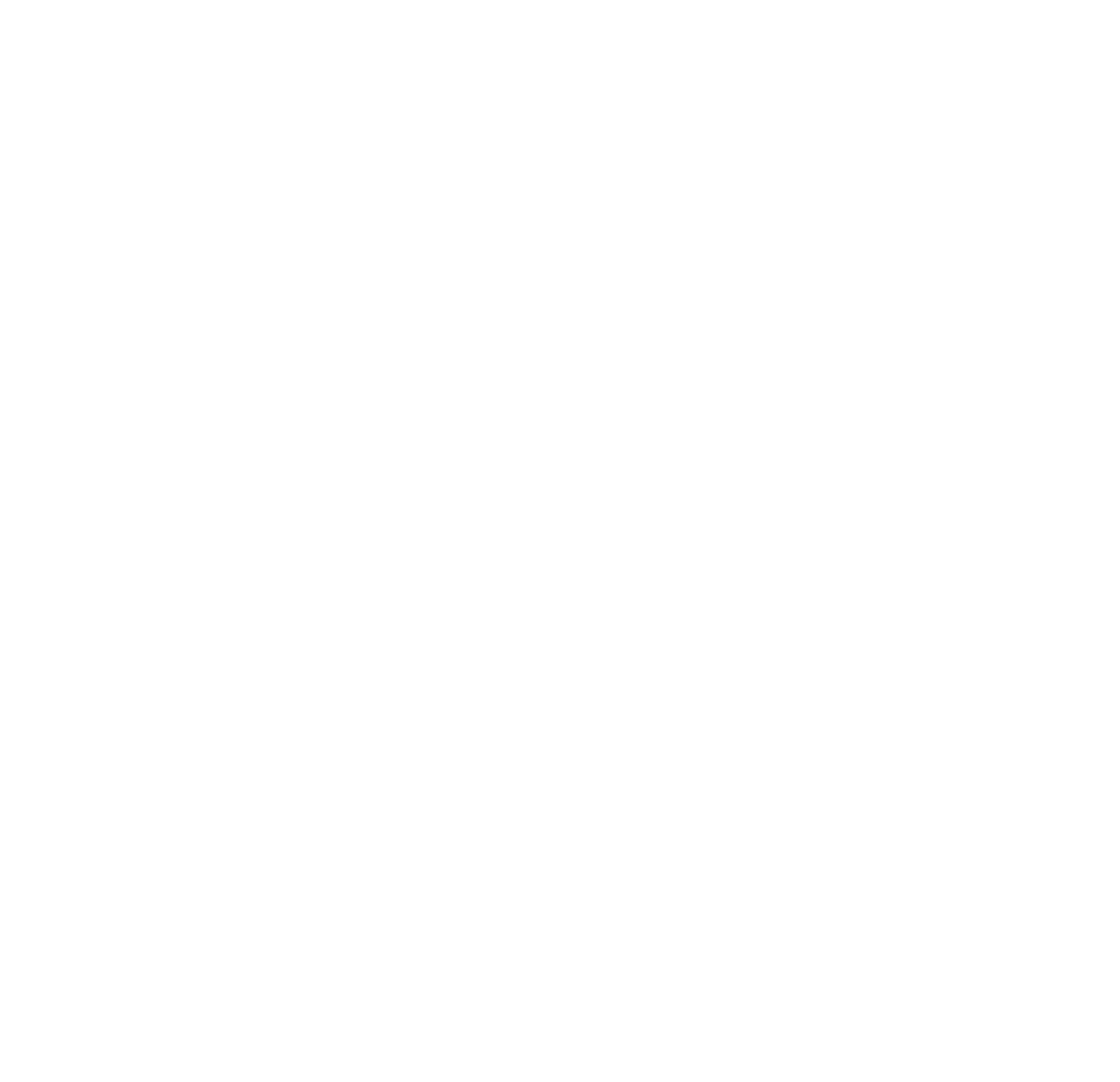 Dragon illustration