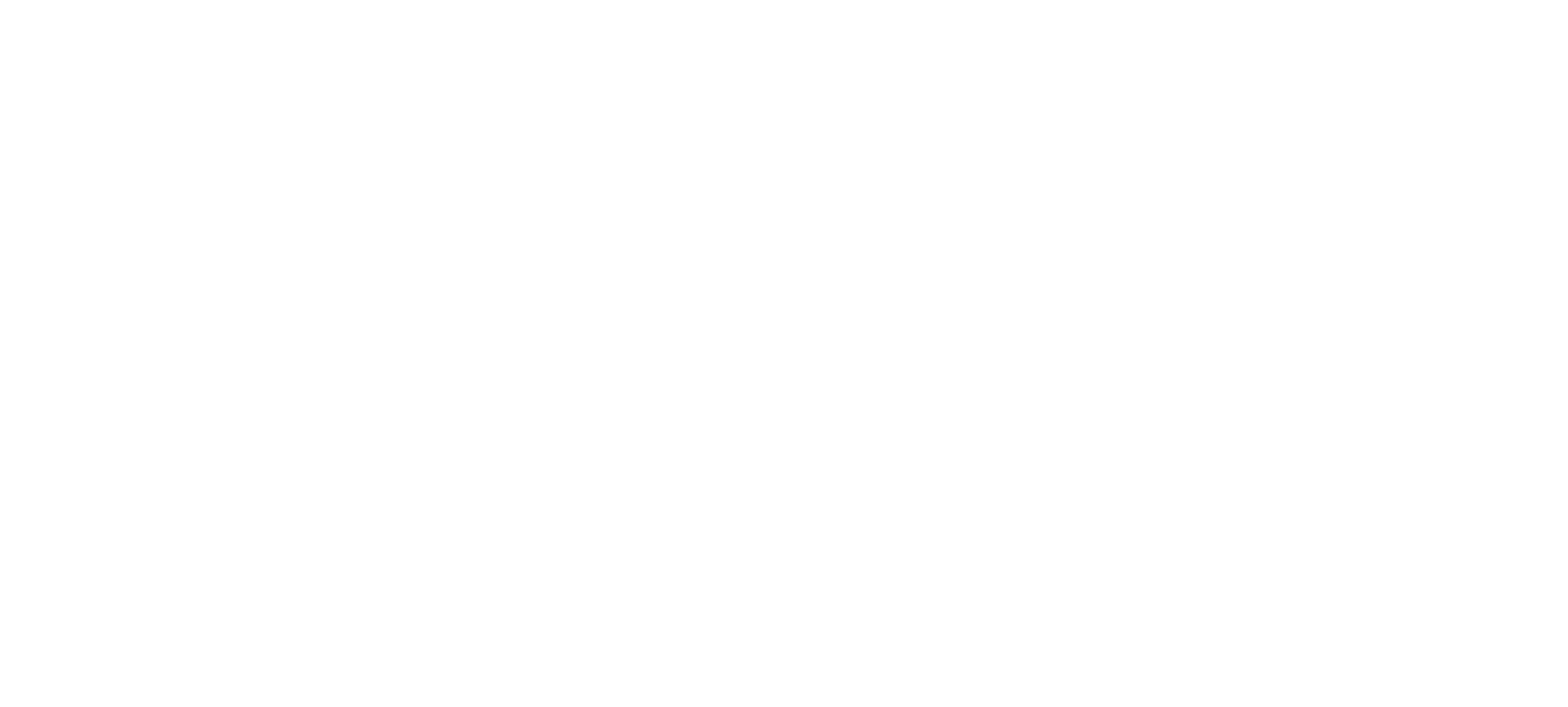 Dragon illustration